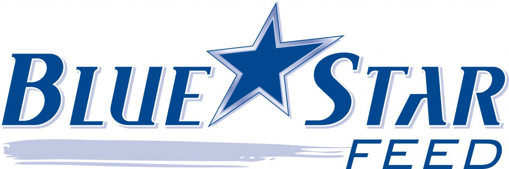 Blue Star Logo Blue Star Logo 1024x341 Welcome to Steinhausers