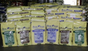 DSCN0307 DSCN0307 300x175 Horse Feeds