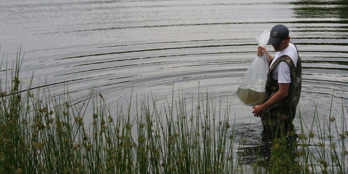 Stock my pond visits Alvin and Sealy locations Stock my pond visits Alvin and Sealy locations