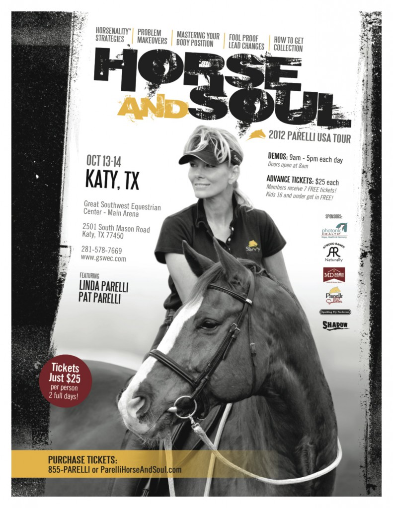 HS_Ambassador_Flyer_TX
