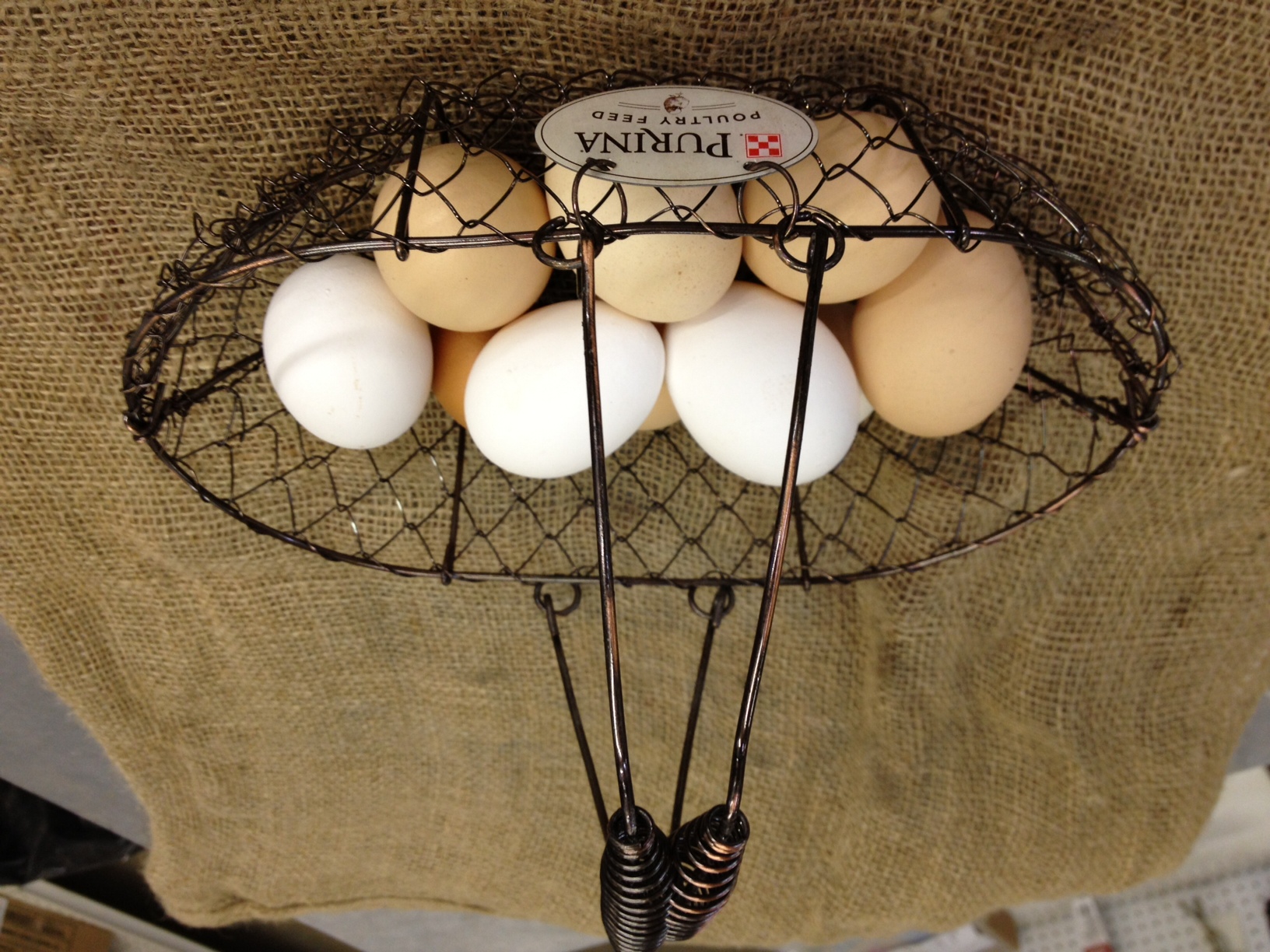 Poultry Feed Steinhauser's