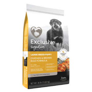 Exclusive Large Breed Adult Dog