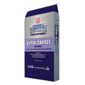 Purina High Octane Savings