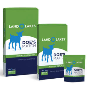 Land O Lakes Doe's Match