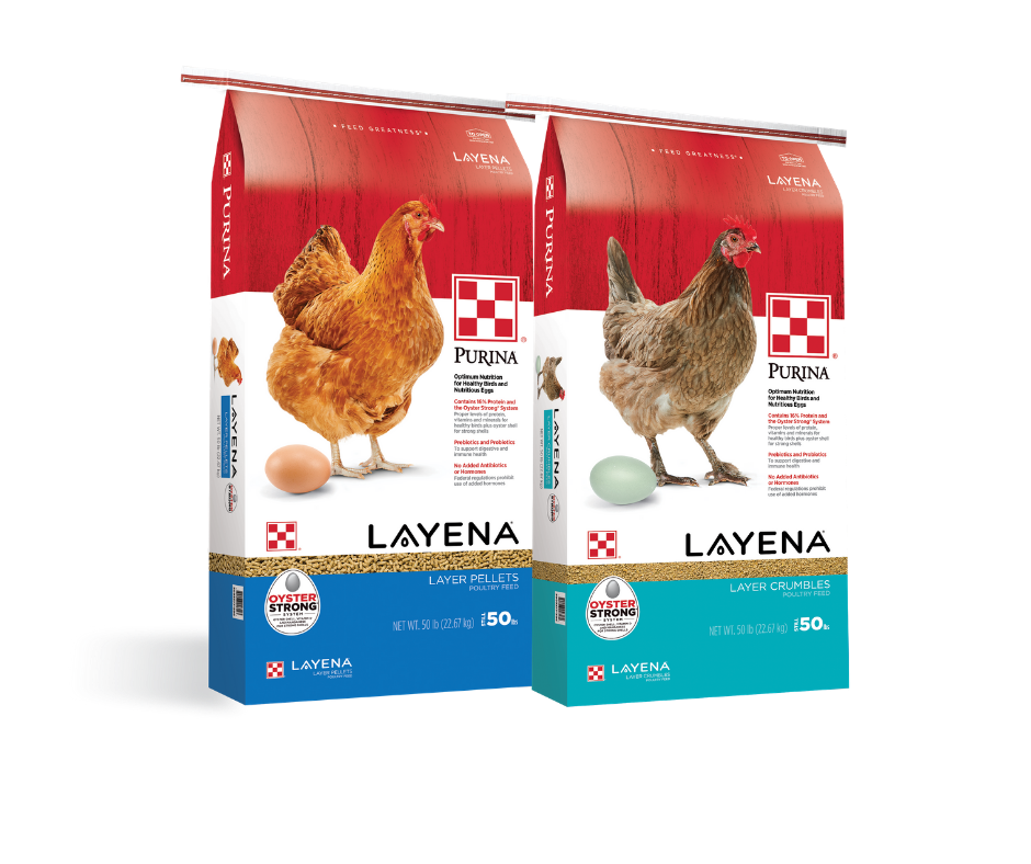 Purina Layena Crumbles & Pellets