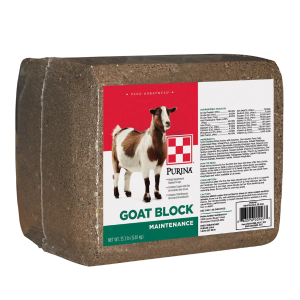 Purina Goat Block 33.3-lb