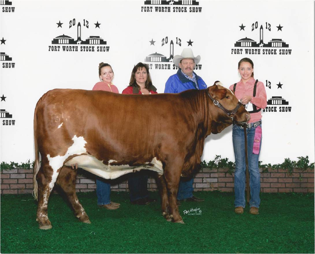 2014 Texas Stock Shows Steinhauser's