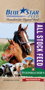 blue star all stock 7-21