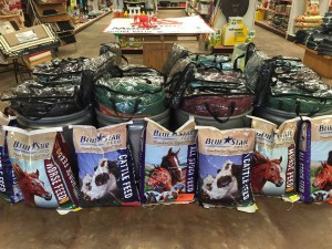 horse blankets
