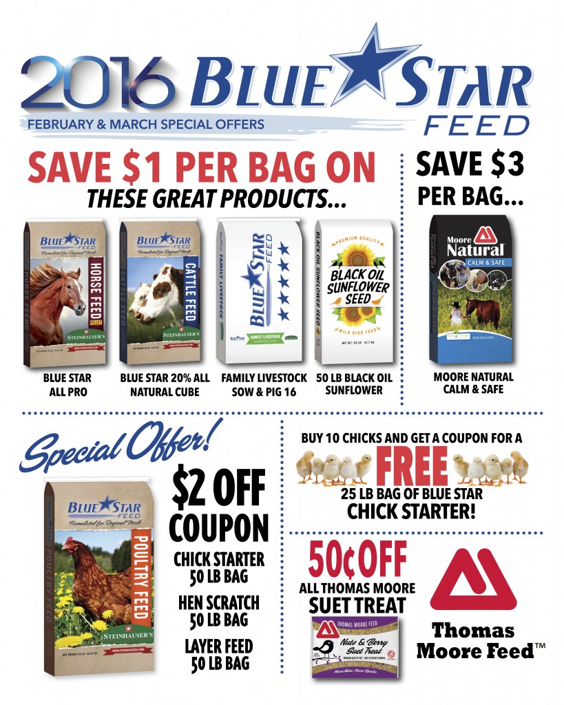 2016 FEB PROMOS BLUE STAR ONLINE