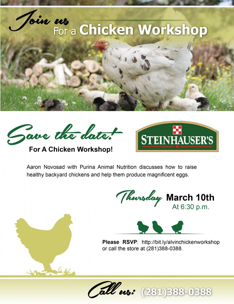 Steinhauser_ChickenWorkshop Flyer
