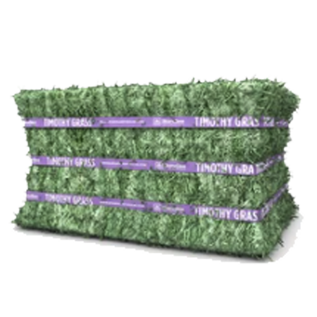 Standlee Premium Alfalfa Compressed Bale - Steinhauser's