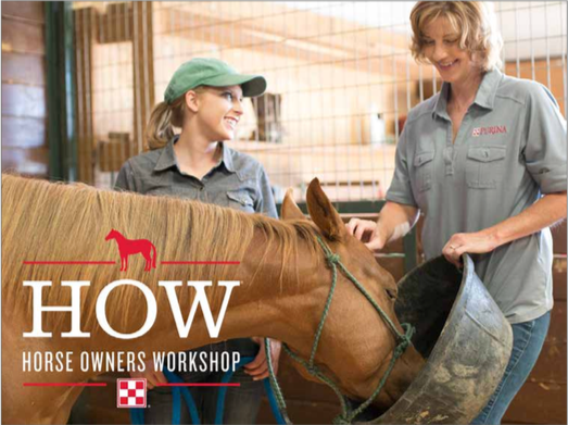 Steinhauser's Horse Owner's Workshops