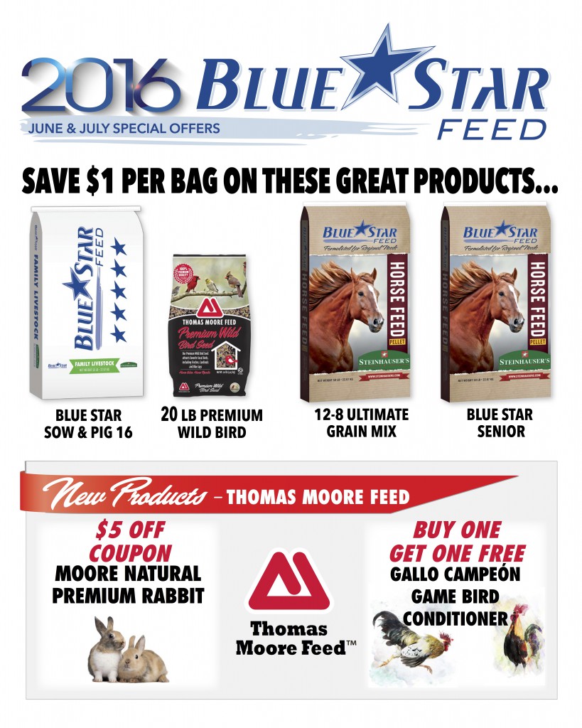 blue star feed