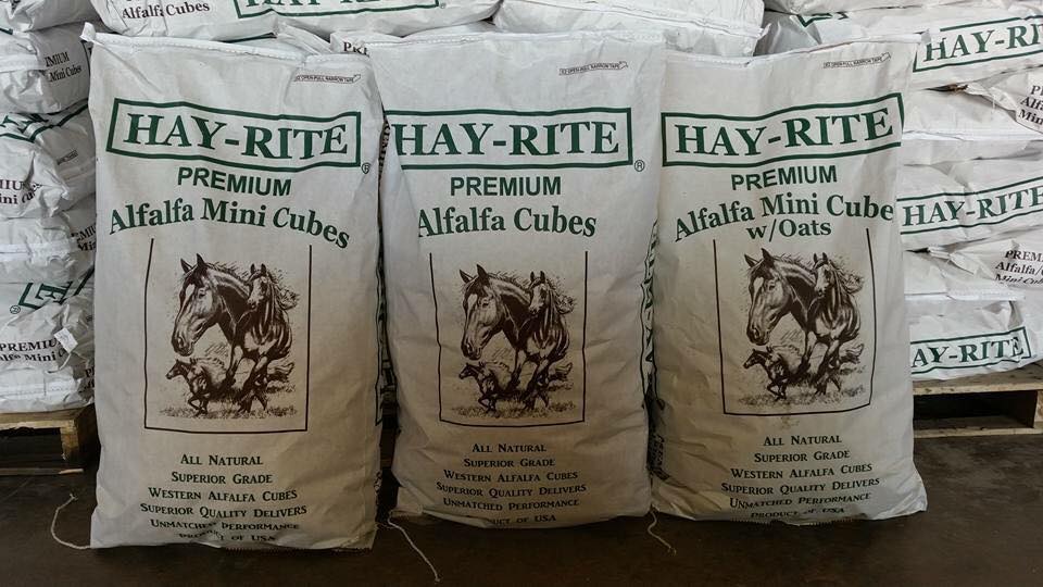 hay-rite alfalfa