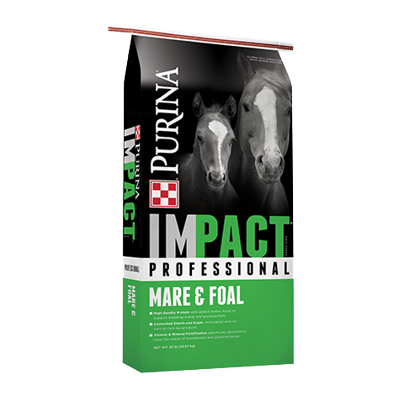 Purina Impact Professional Mare & Foal Horse Feed
