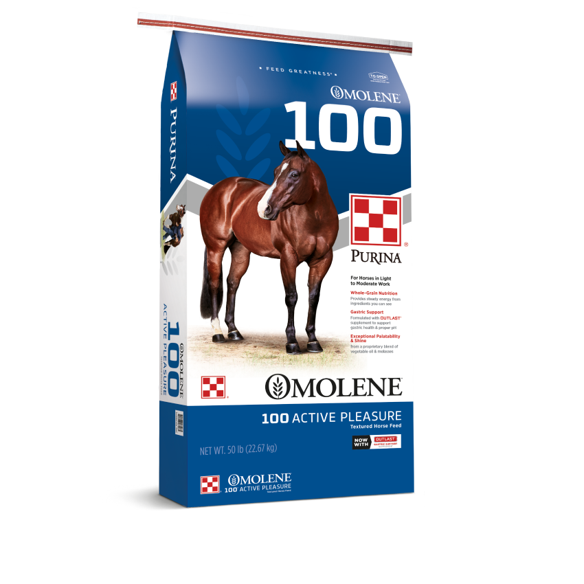 Purina Omolene 100 Horse Feed