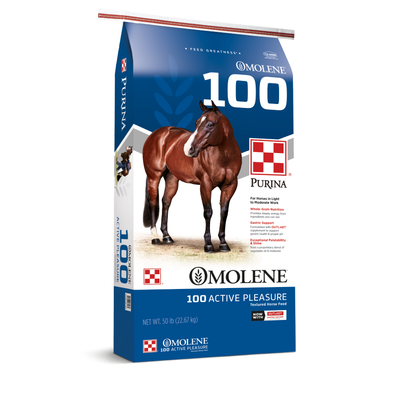 Omolene 100 Horse Feed Purina Equine Steinhauser's