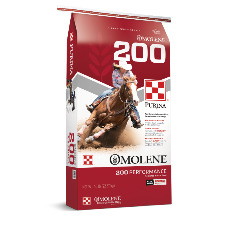 Purina Omolene 200 Horse Feed