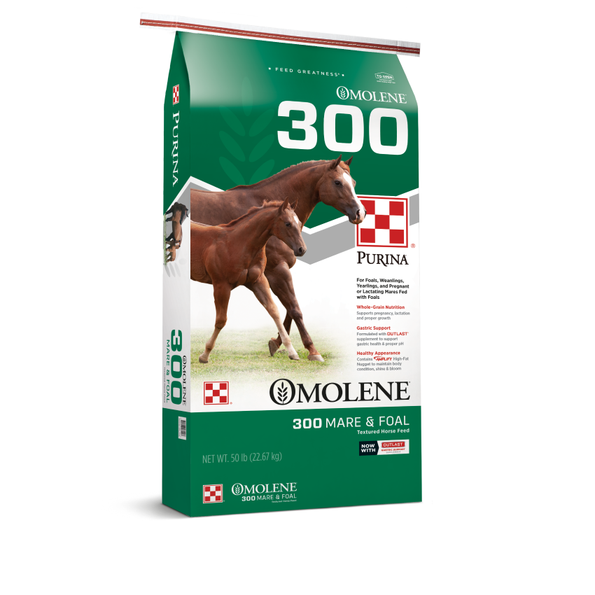 Purina Omolene 300 Horse Feed