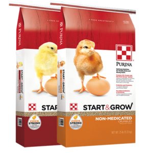 Start & Grow Purina Chicken Feed