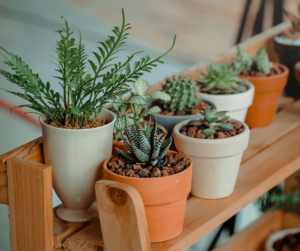 14 simple gardening tips and tricks
