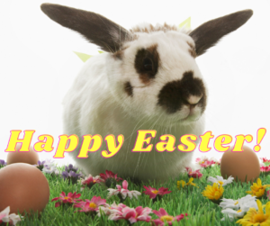 All Locations Closed on Easter Sunday! - Steinhauser's