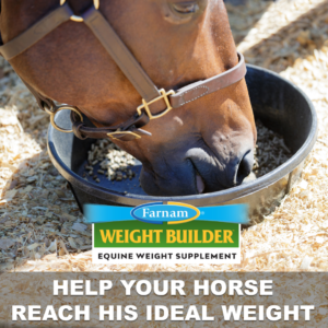 Weight Builder Equine Weight Supplement