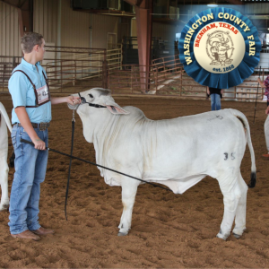 Washington County Fair 2021