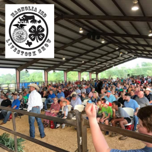 Magnolia ISD Livestock show 2021