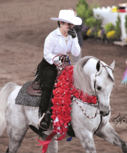 Managing Feeding Programs on the Road for Show Horses: picture is a rider on a white show horse