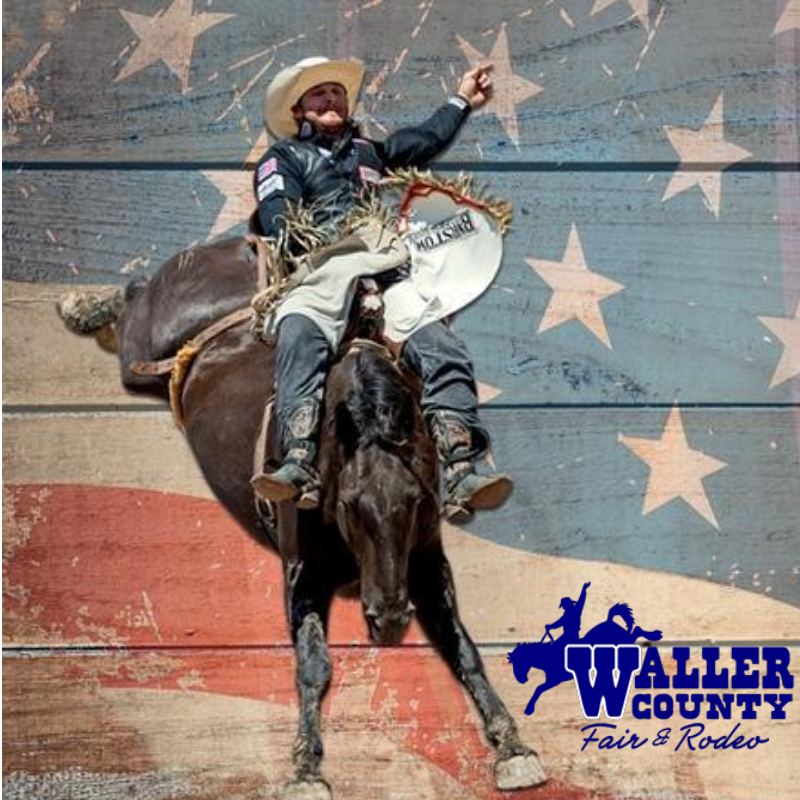 Waller County Fair 2021 Steinhauser's News & Updates