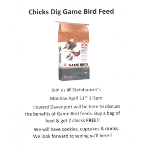 Magnolia Store Game Bird Talk
