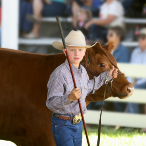 2023 Livestock Shows