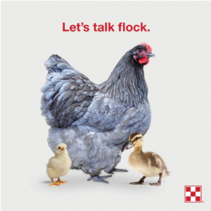 Alvin Spring Flock Talk: RSVP