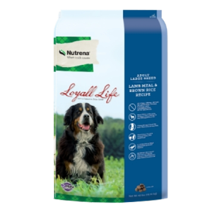 Loyall Life Adult Large Breed Lamb Meal & Rice Dry Dog Food