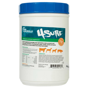 Sunglo 4Sure 3-lb container.